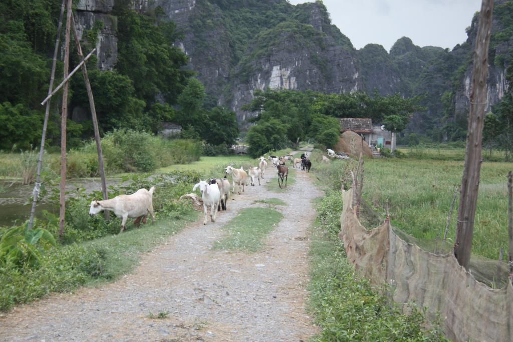 Ninh Binh Valley Homestay Eksteriør billede