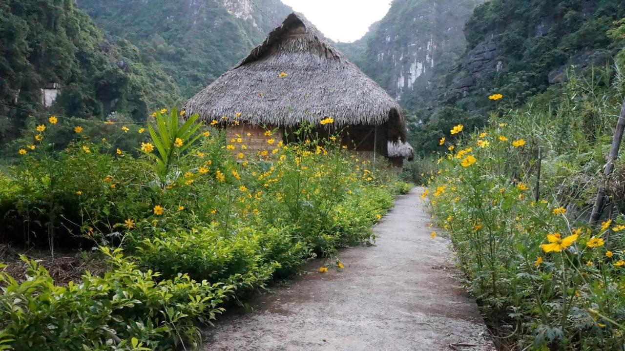 Ninh Binh Valley Homestay Eksteriør billede